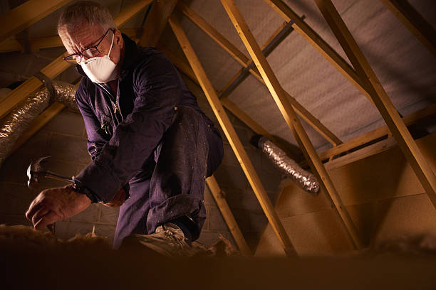 Best Eco-Friendly Insulation in Ishpeng, MI